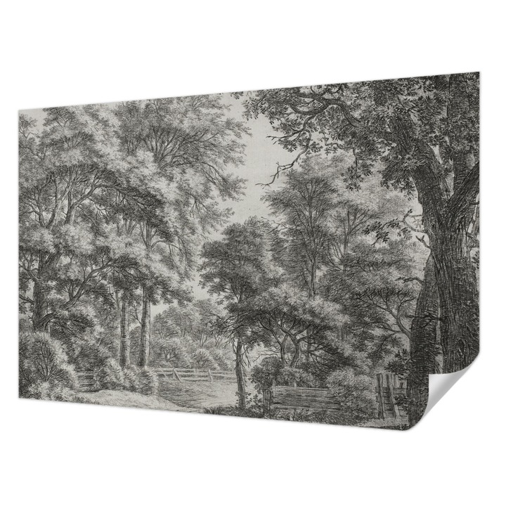 Öntapadós Tapéta Fali Dekoráció, Wallfluent, Erdei táj, Fekete és fehér, 104 x 70 cm, Klasszikus, Könnyen Felszerelhető, 010170060170000285359