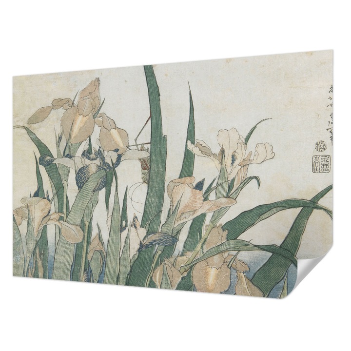 Öntapadós Fotótapéta Falra, Wallfluent, Finom íriszek, Fehér, 104 x 70 cm, Klasszikus, Könnyen Felszerelhető, 010170060170000285410