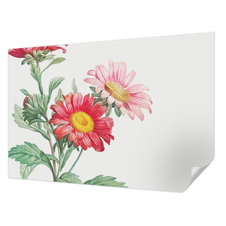 Öntapadós Fotótapéta Falra, Wallfluent, Finom virágok, Piros, 104 x 70 cm, Nappaliba, Konyhába, 010170060170000285414