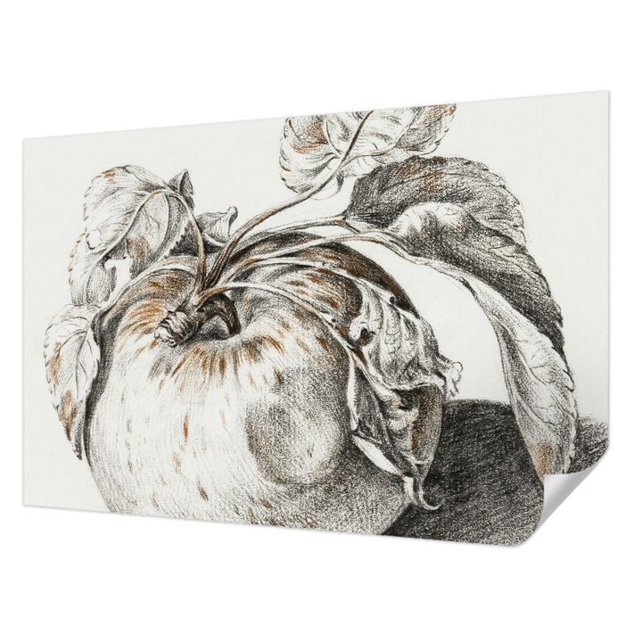 Öntapadós Tapéta Falra, Wallfluent, Alma levelek, Szürke, 104 x 70 cm, Dekoráció, Klasszikus, 010170060170000285422