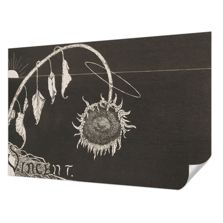 Öntapadós Tapéta Falra, Wallfluent, Nosztalgikus napraforgó, Fekete, 104 x 70 cm, Dekoráció, Klasszikus, 010170060170000285454