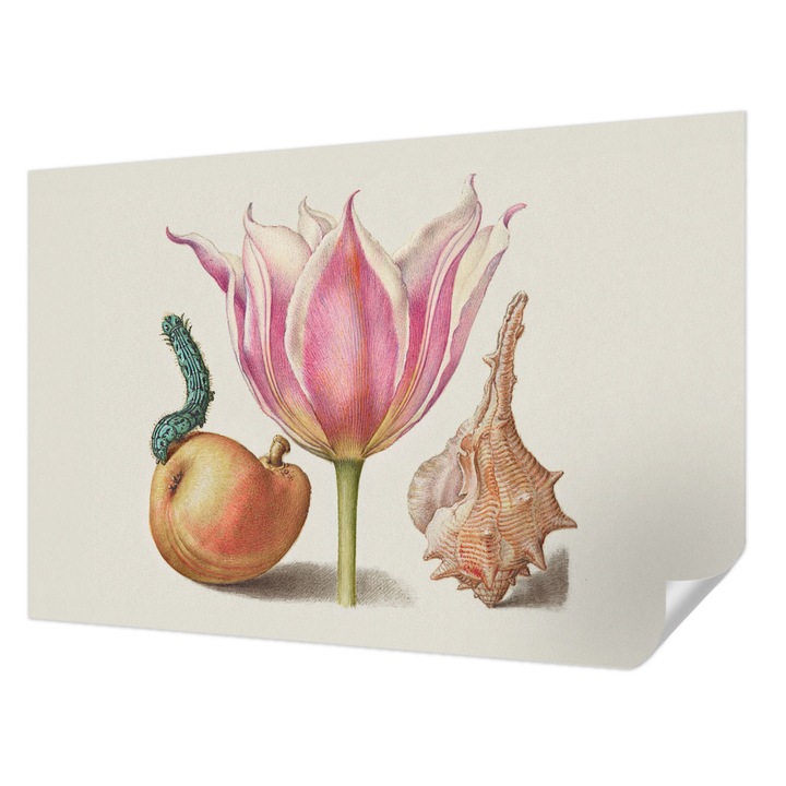 Öntapadós Tapéta Falra, Wallfluent, Természetes szimbiózis, Bézs, 104 x 70 cm, Erős Ragasztó, Modern Belsőépítészeti Dekoráció, 010170060170000285485