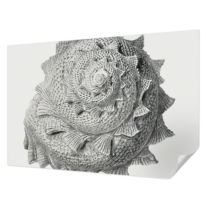 Tapet Textil Autocolant, Wallfluent, Arta naturii, Gri, 104 x 70 cm, Pentru Perete, Rezistente La Apa, Umiditate Si Pete, 010170060170000285491