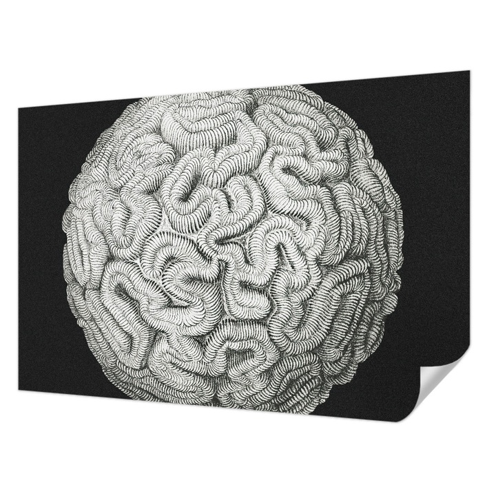 Öntapadós Fotótapéta Falra, Wallfluent, Gömb alakú szerkezet, Fekete, 104 x 70 cm, Könnyen Tisztítható, Nedvességálló, 010170060170000285492