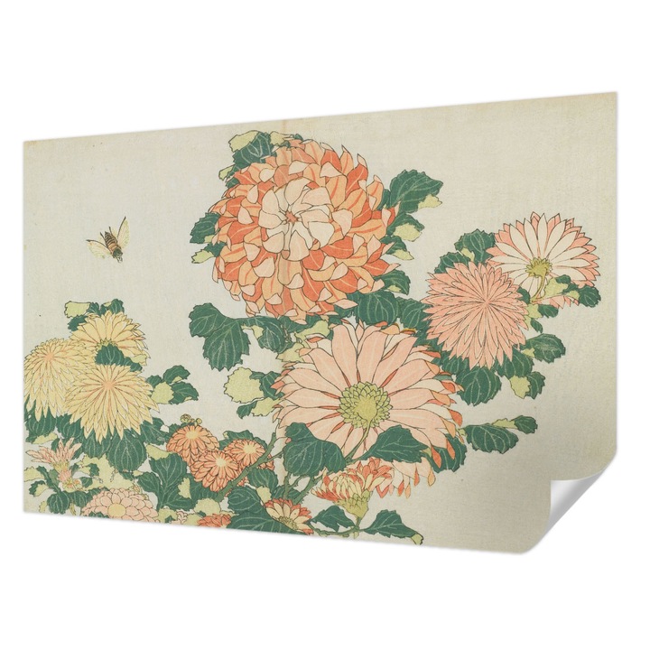 Öntapadós Tapéta Falra, Wallfluent, Krizantém virágok, Krémszín, 104 x 70 cm, Fali Dekoráció, Nedvesség- És Foltálló, 010170060170000285547