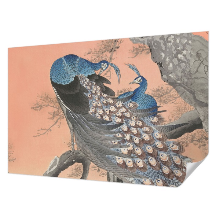 Öntapadós Fotótapéta Falra, Wallfluent, Páva elegancia, Narancssárga, 104 x 70 cm, Erős Ragasztó, Modern Belsőépítészeti Dekoráció, 010170060170000285556