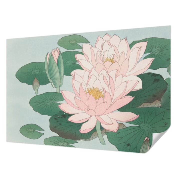 Öntapadós Fotótapéta Falra, Wallfluent, Vízi lótusz, Zöld, 104 x 70 cm, Modern Dizájn, Könnyen Felszerelhető És Tisztítható, 010170060170000285557