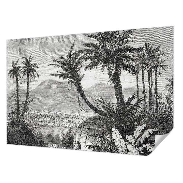 Öntapadós Fotótapéta Falra, Wallfluent, Trópusi oázis, Fekete és fehér, 104 x 70 cm, Előszobába, Hálószobába, 010170060170000285561