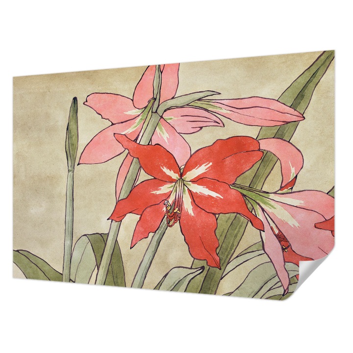 Öntapadós Tapéta Falra, Wallfluent, Napliliom virágok, Bézs, 104 x 70 cm, Modern Dizájn, Könnyen Felszerelhető És Tisztítható, 010170060170000285580