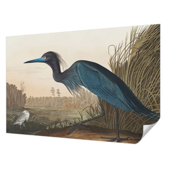 Öntapadós Dekor Tapéta, Wallfluent, Vízimadarak, Zöld, 104 x 70 cm, Nappaliba, Konyhába, 010170060170000285592