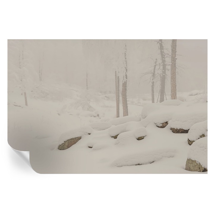 Tapet Autodeziv De Perete, Tulup, Padure inzapezita, Alb, 104 x 70 cm, Decorativ, Detasabil, 010170060170000284961