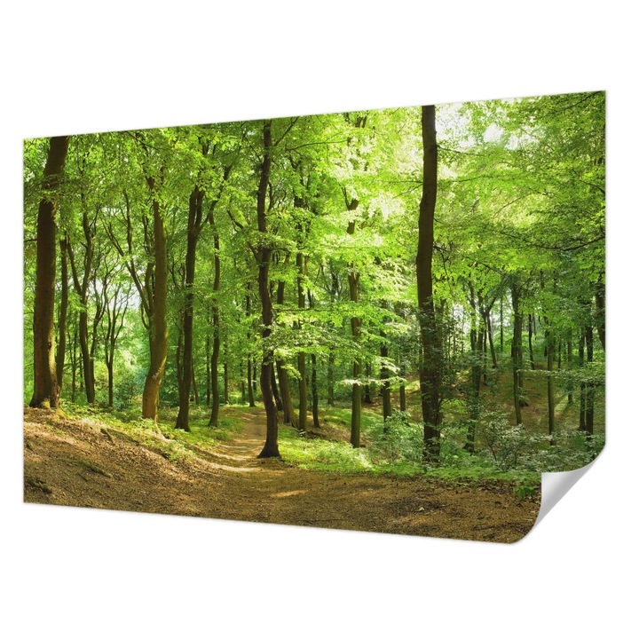 Öntapadós Tapéta Falra, Wallfluent, Természetes ösvény, Zöld, 104 x 70 cm, Könnyen Tisztítható, Nedvességálló, 010170060170000000799