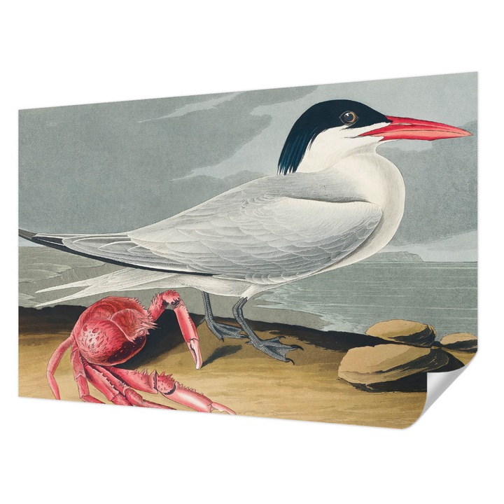 Öntapadós Fotótapéta Falra, Wallfluent, Tengeri táj, Szürke, 104 x 70 cm, Nappaliba, Konyhába, 010170060170000285591