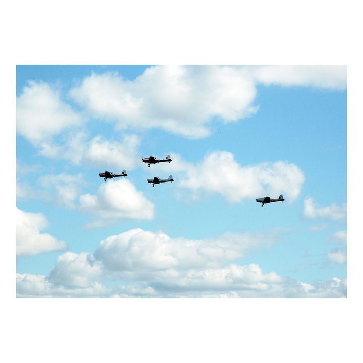 VreauPoster Poster A4 Avion Chipmunk DHC-1, Zbor Acrobatic Vintage, Festival 2008 Carton 250gr