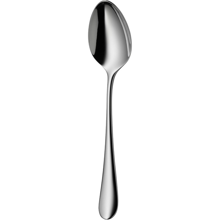 Lingură WMF Merit, 20.7 cm, inox Cromargan protect, rezistentă la zgârieturi, finisaj lucios