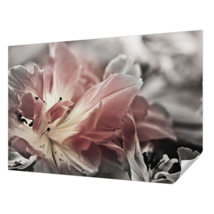 Tapet Textil Autocolant, Wallfluent, Floare pastelata, Gri, 152 x 104 cm, Pentru Sufragerie, Dormitor, 010170060180000000484