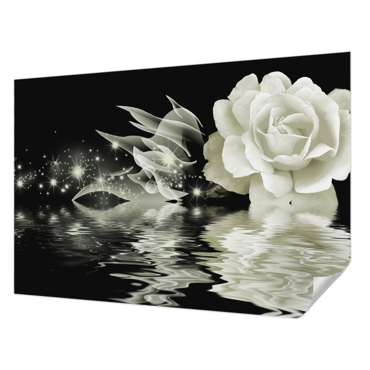 Öntapadós Dekor Tapéta, Wallfluent, Világító rózsa, Fehér, 152 x 104 cm, Erős Ragasztó, Modern Belsőépítészeti Dekoráció, 010170060180000000365