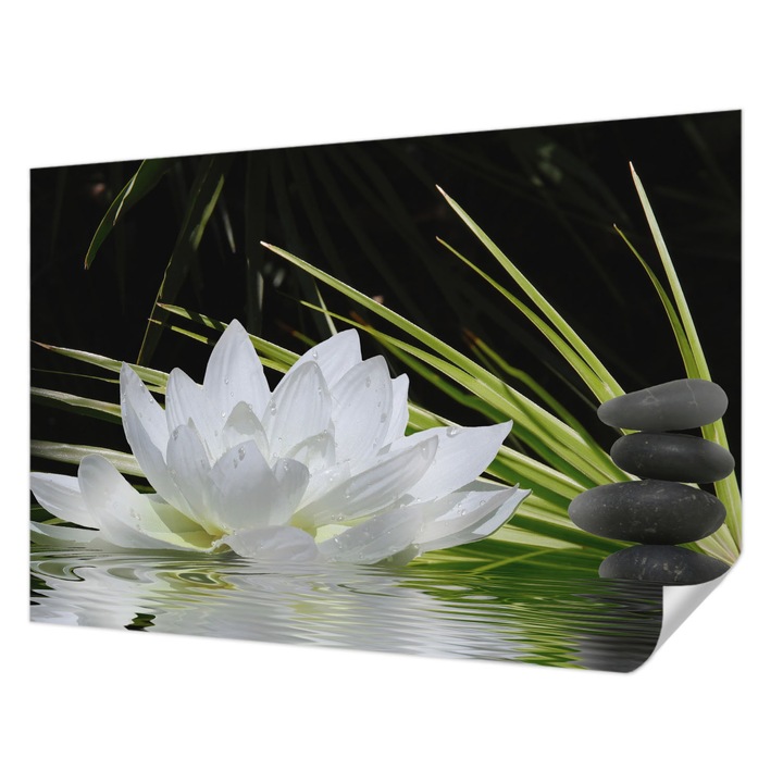 Öntapadós Tapéta Falra, Wallfluent, Liliom meditáció, Fehér, 152 x 104 cm, Modern Dizájn, Könnyen Felszerelhető És Tisztítható, 010170060180000002010