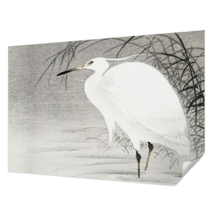 Öntapadós Fotótapéta Falra, Wallfluent, Vízi táj, Fehér, 152 x 104 cm, Könnyen Tisztítható, Nedvességálló, 010170060180000017886