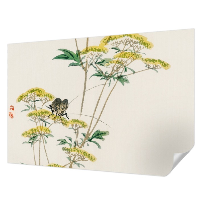 Öntapadós Fotótapéta Falra, Wallfluent, Virágok természet, Fehér, 152 x 104 cm, Klasszikus, Könnyen Felszerelhető, 010170060180000017958