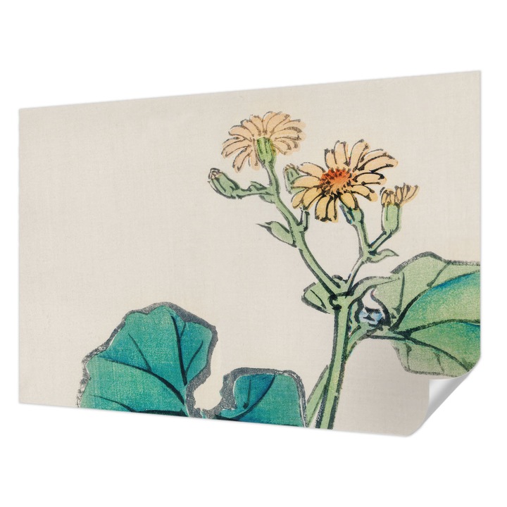 Öntapadós Fotótapéta Falra, Wallfluent, Virág és levelek, Fehér, 152 x 104 cm, Nappaliba, Konyhába, 010170060180000017994