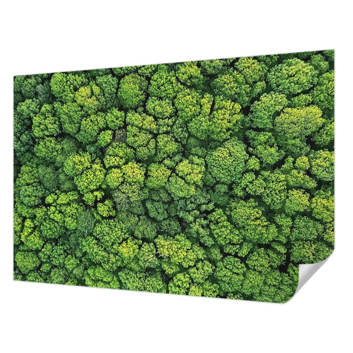 Öntapadós Tapéta Falra, Wallfluent, Erdei panoráma, Zöld, 152 x 104 cm, Dekoráció, Klasszikus, 010170060180000088658