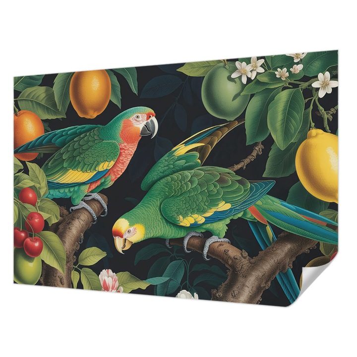 Öntapadós Dekor Tapéta, Wallfluent, Trópusi kaland, Zöld, 152 x 104 cm, Dekoráció, Falra, 010170060180000284747