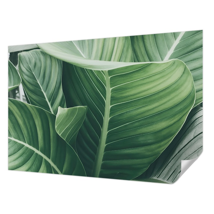 Öntapadós Fotótapéta Falra, Wallfluent, Zöld béke, Zöld, 152 x 104 cm, Előszobába, Hálószobába, 010170060180000284773