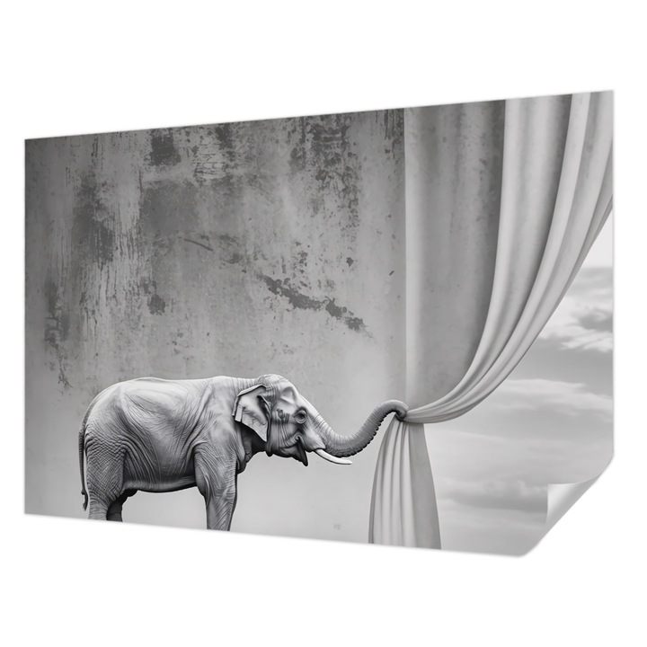 Öntapadós Fotótapéta Falra, Wallfluent, Szürrealista elefánt, Szürke, 152 x 104 cm, Nappaliba, Konyhába, 010170060180000284771