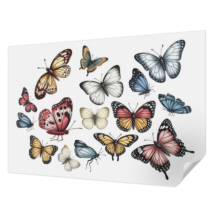 Öntapadós Fotótapéta Falra, Wallfluent, Paradicsomlepkék, Fehér, 152 x 104 cm, Klasszikus, Könnyen Felszerelhető, 010170060180000284833