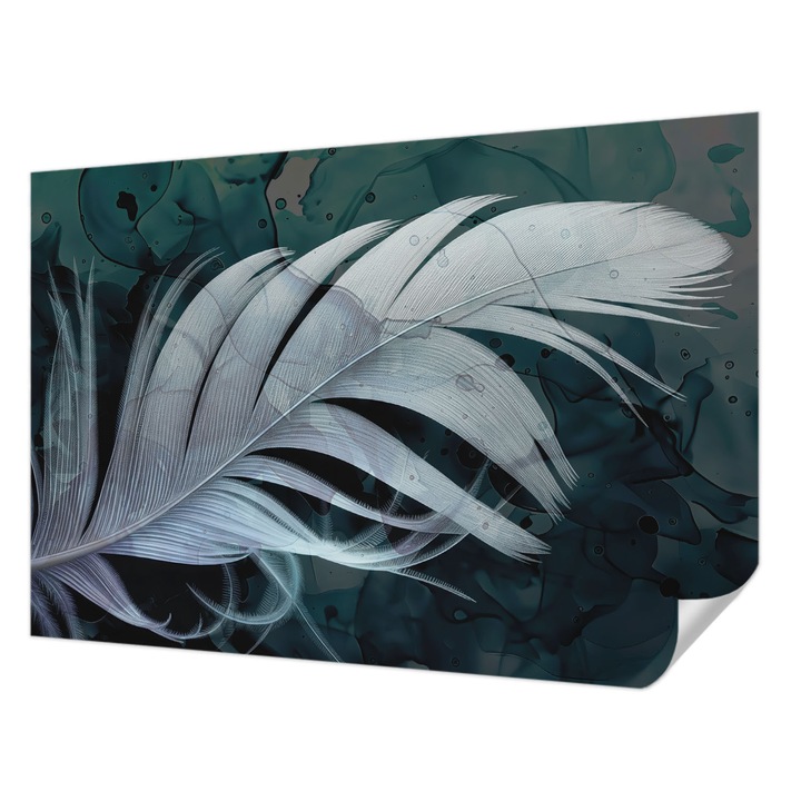 Öntapadós Tapéta Fali Dekoráció, Wallfluent, Éteri toll, Fehér, 152 x 104 cm, Előszobába, Hálószobába, 010170060180000284887