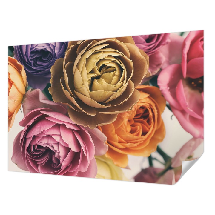 Öntapadós Tapéta Fali Dekoráció, Wallfluent, Színes rózsák, Rózsaszín, 152 x 104 cm, Dekoráció, Falra, 010170060180000284878
