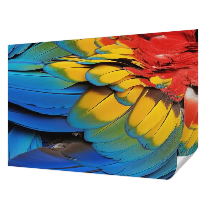 Öntapadós Fotótapéta Falra, Wallfluent, Szivárvány tollak, Kék, 152 x 104 cm, Erős Ragasztó, Modern Belsőépítészeti Dekoráció, 010170060180000284956