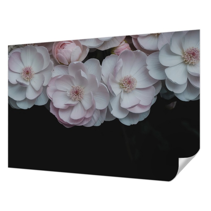 Öntapadós Dekor Tapéta, Wallfluent, Egy finom csokor, Fehér, 152 x 104 cm, Könnyen Tisztítható, Nedvességálló, 010170060180000284965