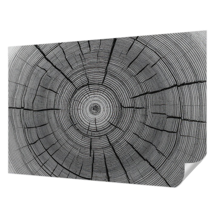 Tapet Textil Autocolant, Wallfluent, Armonia padurii, Multicolor, 152 x 104 cm, Pentru Interior, Usor De Curatat, 010170060180000285011