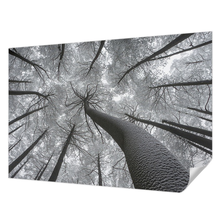 Öntapadós Tapéta Falra, Wallfluent, Téli táj, Fekete és fehér, 152 x 104 cm, Erős Ragasztó, Modern Belsőépítészeti Dekoráció, 010170060180000285014