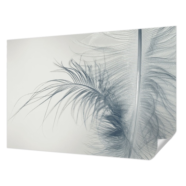 Öntapadós Fotótapéta Falra, Wallfluent, Finom toll, Fehér, 152 x 104 cm, Erős Ragasztó, Modern Belsőépítészeti Dekoráció, 010170060180000285023