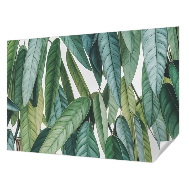 Öntapadós Tapéta Falra, Wallfluent, Természetes levelek, Zöld, 152 x 104 cm, Dekoráció, Klasszikus, 010170060180000285049