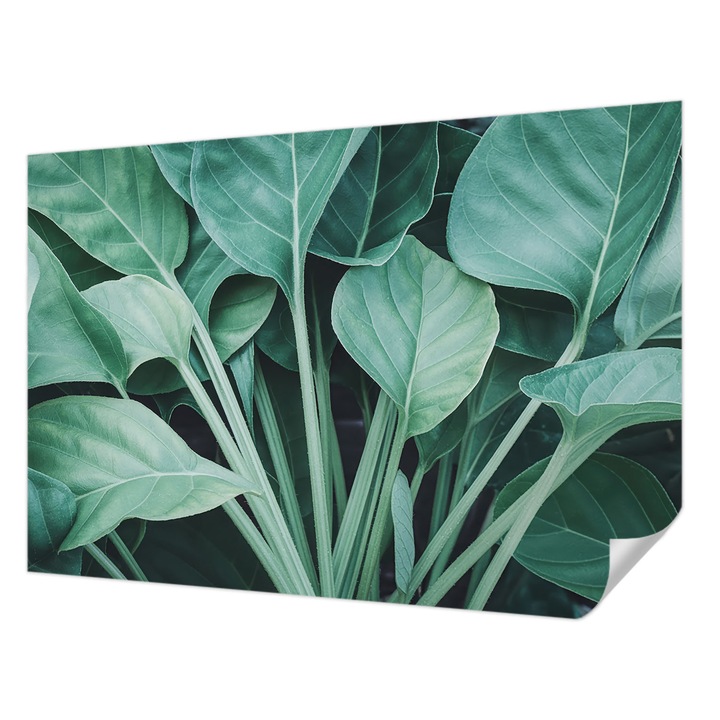 Öntapadós Dekor Tapéta, Wallfluent, Zöld természet, Zöld, 152 x 104 cm, Könnyen Tisztítható, Nedvességálló, 010170060180000285131