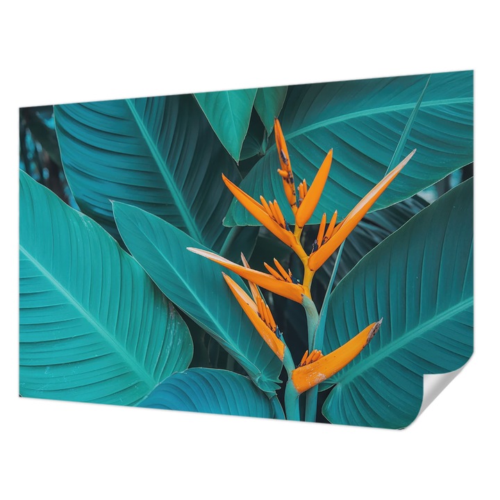 Öntapadós Tapéta Falra, Wallfluent, Leveles virágok, Narancssárga, 152 x 104 cm, Klasszikus, Könnyen Felszerelhető, 010170060180000285151