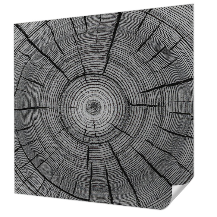 Öntapadós Tapéta Falra, Wallfluent, Erdő harmóniája, Fekete és fehér, 250 x 250 cm, Könnyen Tisztítható, Nedvességálló, 010170060030000285011