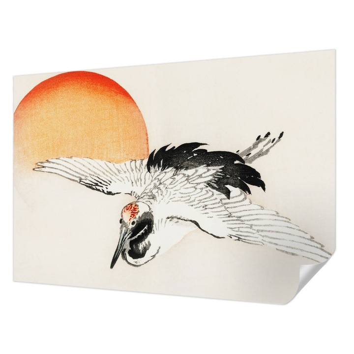 Öntapadós Fotótapéta Falra, Wallfluent, Elegáns daru, Fehér, 152 x 104 cm, Dekoráció, Erős Ragasztó, 010170060180000017938