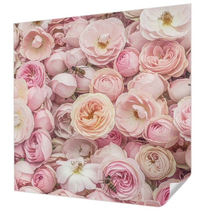 Öntapadós Tapéta Falra, Wallfluent, Gyönyörű virágok, Rózsaszín, 250 x 250 cm, Fali Dekoráció, Nedvesség- És Foltálló, 010170060030000285010