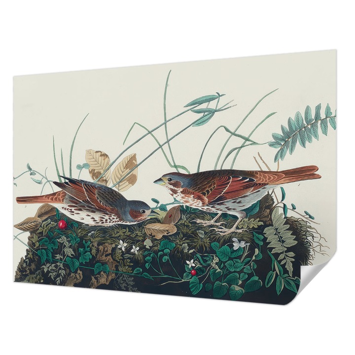 Öntapadós Tapéta Falra, Wallfluent, A természet varázsa, Szürke, 152 x 104 cm, Fali Dekoráció, Nedvesség- És Foltálló, 010170060180000285297