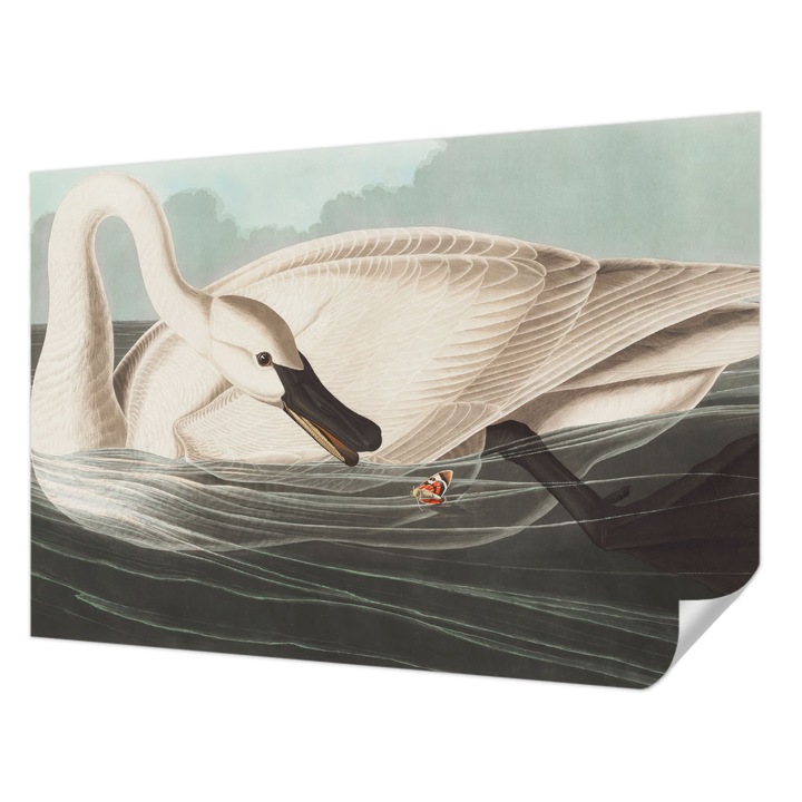 Öntapadós Tapéta Falra, Wallfluent, A természet harmóniája, Fehér, 152 x 104 cm, Könnyen Tisztítható, Nedvességálló, 010170060180000285296