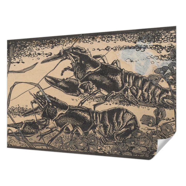 Öntapadós Tapéta Falra, Wallfluent, Vízi rákok, Fekete, 152 x 104 cm, Dekoráció, Klasszikus, 010170060180000285302