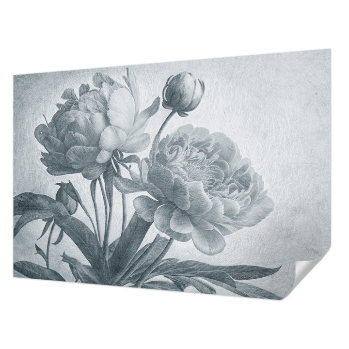 Öntapadós Fotótapéta Falra, Wallfluent, Virágos elegancia, Szürke, 152 x 104 cm, Dekoráció, Erős Ragasztó, 010170060180000285342