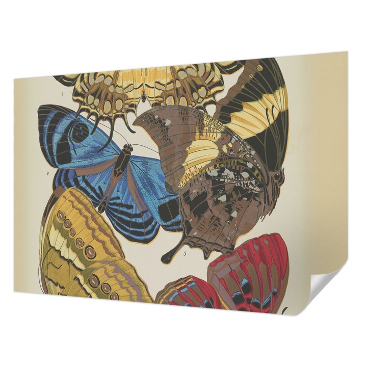 Öntapadós Fotótapéta Falra, Wallfluent, Pillangók inspirációja, Fekete, 152 x 104 cm, Modern Dizájn, Könnyen Felszerelhető És Tisztítható, 010170060180000285372