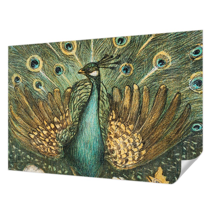 Öntapadós Tapéta Fali Dekoráció, Wallfluent, Fenséges páva, Zöld, 152 x 104 cm, Modern Dizájn, Könnyen Felszerelhető És Tisztítható, 010170060180000285476