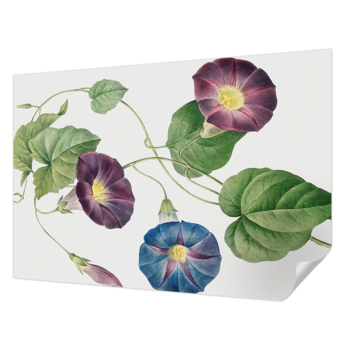 Tapet Textil Autocolant, Wallfluent, Eleganta floristica, Negru, 152 x 104 cm, Detasabil, Lavabil, 010170060180000285498